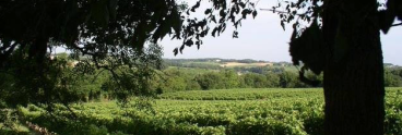 domaine