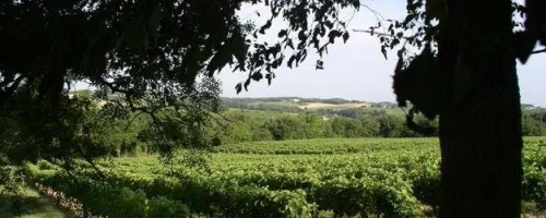domaine