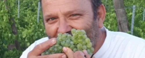 winemaker
